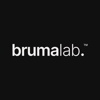 Brumalab™, Global Web Design & Development Agency. Logo