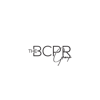 The BCPR Group Logo