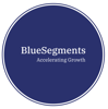 BlueSegments Logo