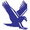 TBIRD Design Services Corp Logo