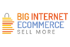 Big Internet Seller Services Inc Logo