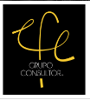 EFE Consulting Group Logo