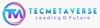TecMetaverse Logo