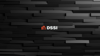 DSSI LLC Logo