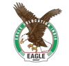 Eagle Packers and Movers Logo