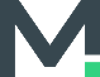 MINT IT Logo