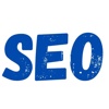 SEOINDIARANK.IN Logo