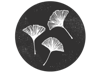 The Ginkgo Tree Creative Studio Logo