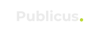 Publicus Digital Marketing Agency Logo