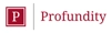 Profundity Group Logo