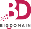 Big Domain Logo