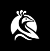Paun Technology Logo