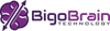 BigoBrain Technology LLC Logo
