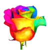 ROSE Market Research Logo