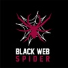 Black Web Spider - Web Design Agency Logo