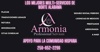 Armonia Professional Services Logo