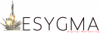 Esygma Digital Marketing Company Logo