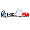 Triosoulweb Logo