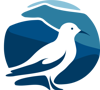 Seagull Software Development Logo