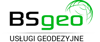 BSGeo Logo