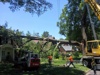 Alexandria Tree Services Unlimited Logo