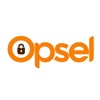 Opsel Compliance Consultancy Services, Ltd Logo