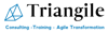 Triangile Logo