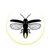 Firefly GHG Consulting Logo