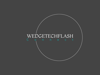 wedgetech Flash Logo