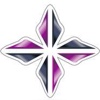 POSITIVE ACCOUNTING Logo