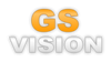 GS VISION Ltd. Logo