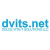 Dolce Vita IT Solutions Logo