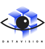The Data Vision Logo