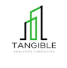 Tangible Analytics Consulting Logo