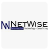 NetWise IT Consulting Logo