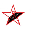 IterStar Geomatics Ltd. Logo