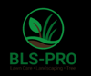 BLS Pro Logo