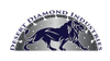 Desert Diamond Industries Logo