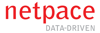 Netpace Inc. Logo