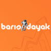 Barış Dayak - Web Design and SEO Specialist Logo