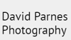 David Parnes Photography Logo