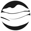 Ninth Binary Logo