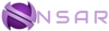 NSARprises Logo