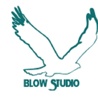 Blow Studio Logo