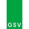 GreenSky Ventures Logo