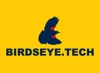 Birdseye Technical Services Inc. Logo