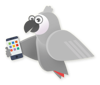 The Grey Parrots Logo