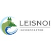 Leisnoi Professional Services, LLC Logo