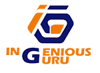 Ingenious Guru NYC Logo