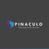 Pináculo Performance Online Logo